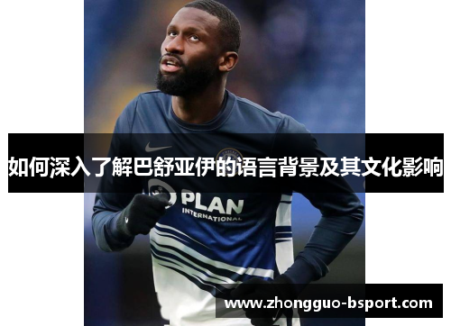 如何深入了解巴舒亚伊的语言背景及其文化影响 如何深入了解巴舒亚伊的语言背景及其文化影响