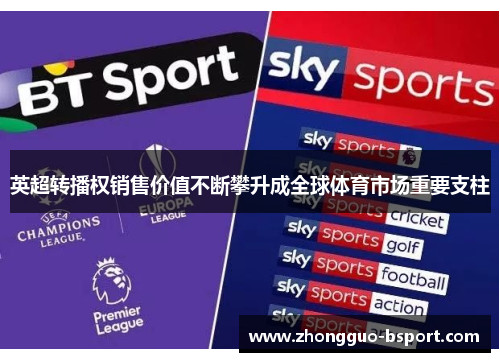 英超转播权销售价值不断攀升成全球体育市场重要支柱