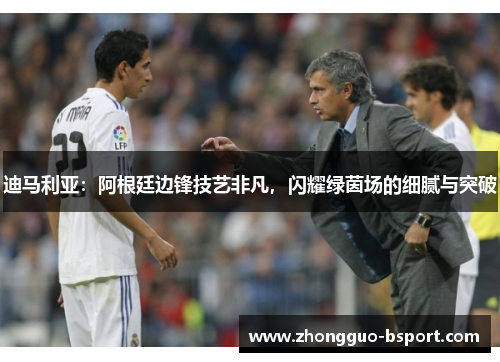 迪马利亚：阿根廷边锋技艺非凡，闪耀绿茵场的细腻与突破