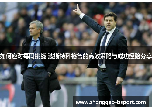 如何应对每周挑战 波斯特科格鲁的高效策略与成功经验分享