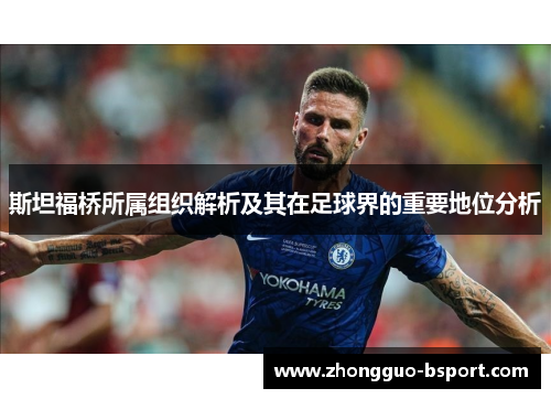 斯坦福桥所属组织解析及其在足球界的重要地位分析